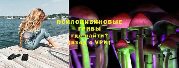гашик Балахна