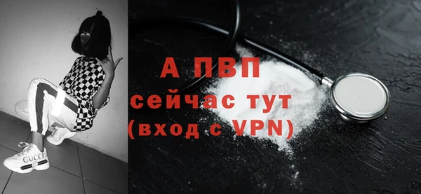 гашик Балахна