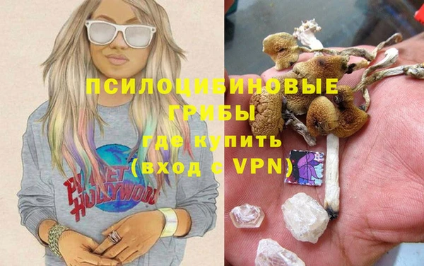 гашик Балахна